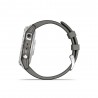 Garmin Fenix 7 Argento Graphite Ban