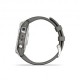 Garmin Fenix 7 Argento Graphite Ban