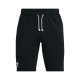 Under Armour Shorts Sportivi Terry Verde Uomo