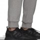 ADIDAS Originals Pantaloni Con Polsino Grigio Uomo