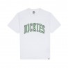 Dickies T-Shirt Logo Bianco Uomo