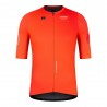 Gobik Maglia Ciclismo Stark Tangerine Uomo