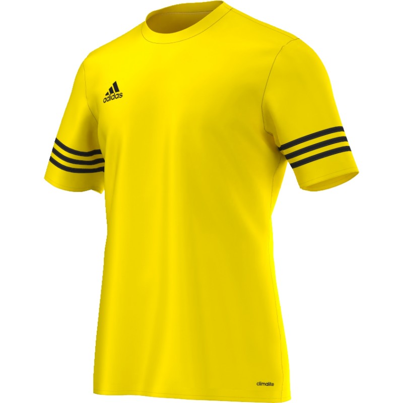 ADIDAS t-shirt entrada 14 team yellow/black f50484 - Acquista online su  Sportland