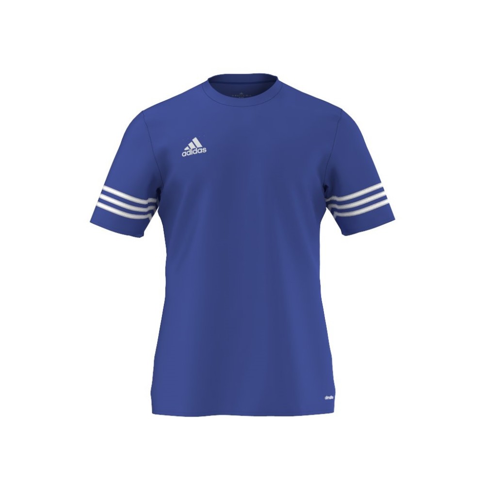 ADIDAS t-shirt entrada 14 team royal/white f50491 - Acquista online su  Sportland