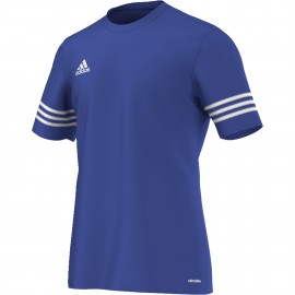 Entrada 14 team royal/white