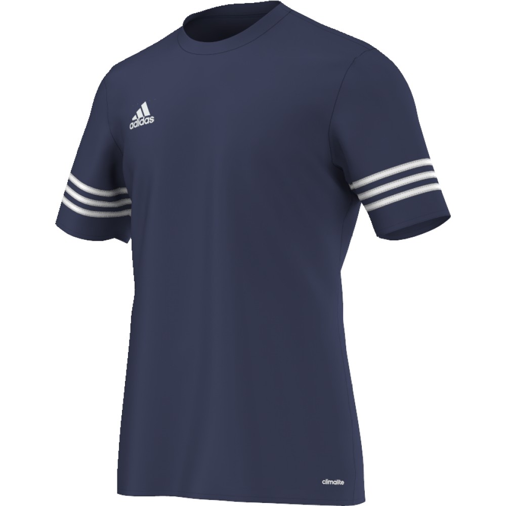 ADIDAS t-shirt entrada 14 team blue/white f50487 - Acquista online su  Sportland