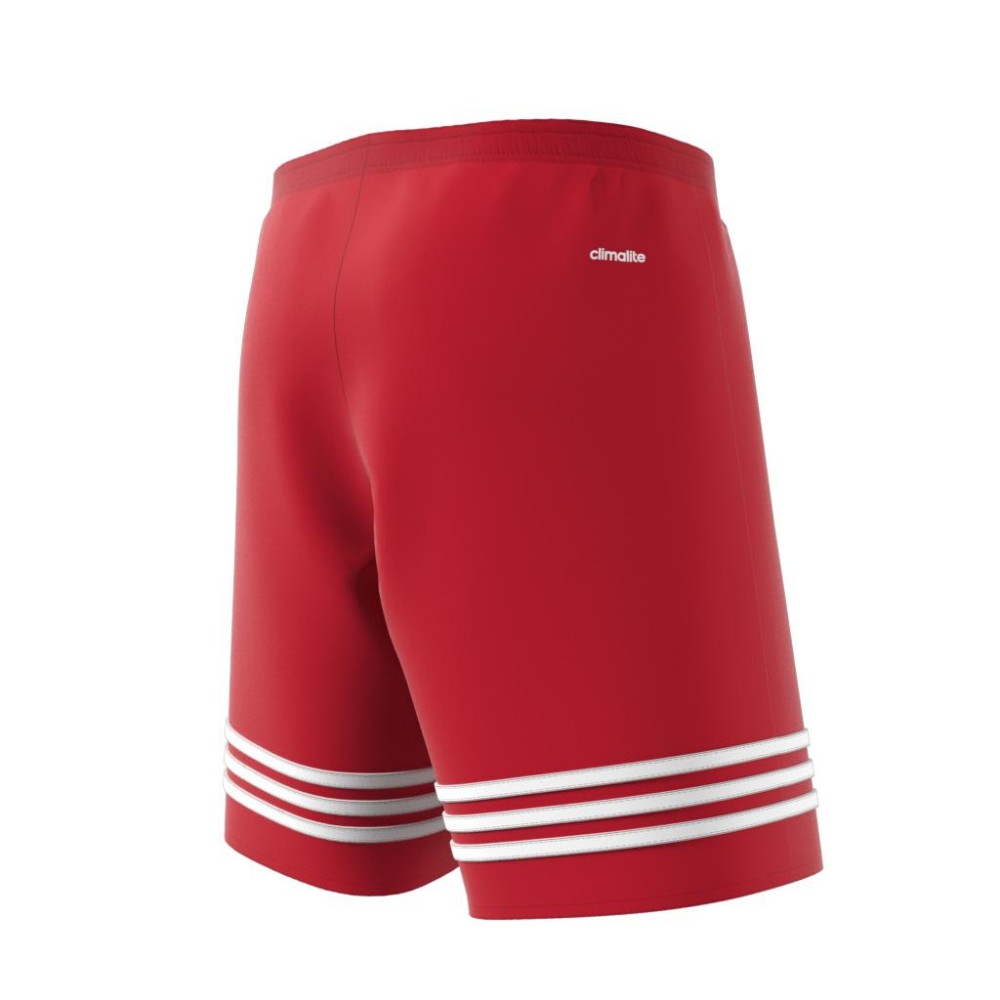 adidas entrada shorts red