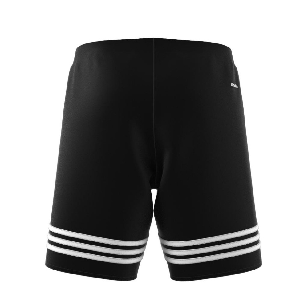 adidas short entrada 14