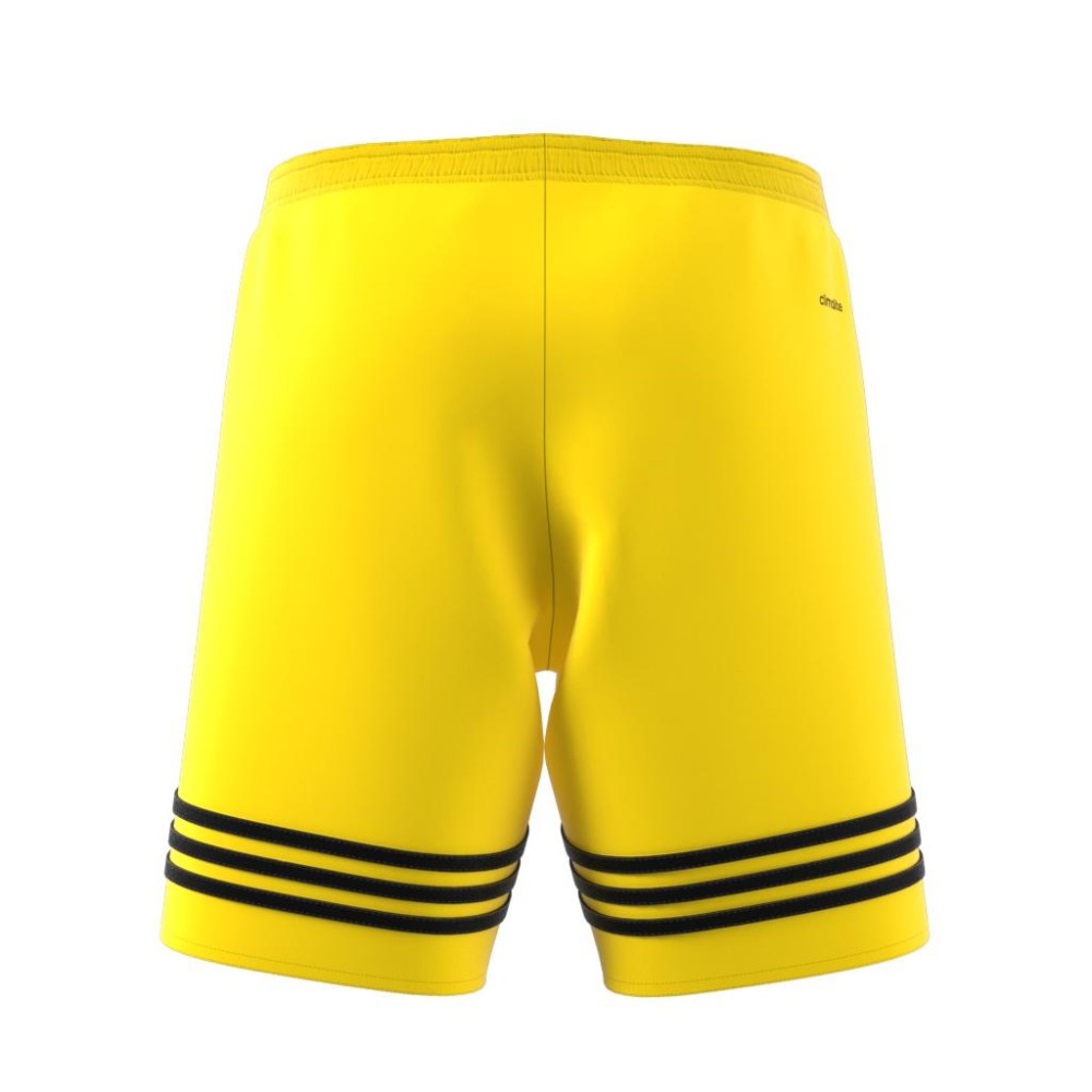 adidas entrada short