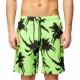 Sundek Costume Boxer Palme 18 Verde Uomo