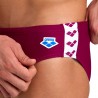 Arena Costume Intero Piscina Slip Icons Solid Bordeaux Bianco Uomo