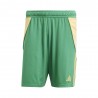 ADIDAS Pantaloncini Calcio Tiro24 Verde Giallo Uomo