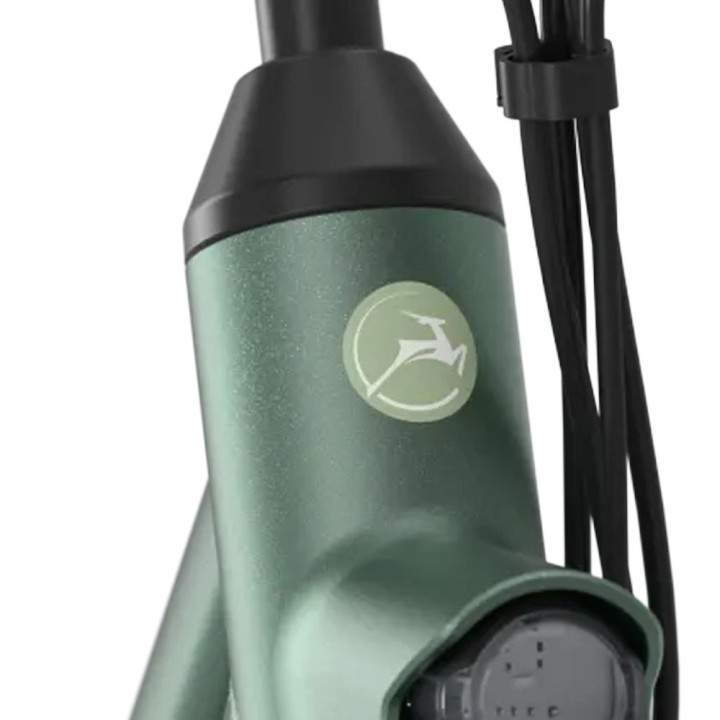 Gazelle Esprit C7 Hms 418WH Colore 850 - City Bike Elettrica