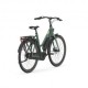 Gazelle Esprit C7 Hms 418WH XS/46 Verde - City Bike Elettrica