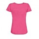 Rock Experience T-Shirt Trekking Chandler 3.0 Rosa Donna