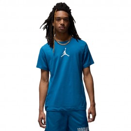Nike Jordan T-Shirt Logo Centrale Blu Uomo