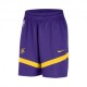 Nike Pantaloncini Basket Nba Lakers Practice Viola Giallo Uomo