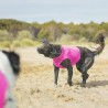 Axaeco Gilet Per Cani All-Rounder Rosa