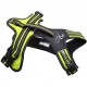 Axaeco Imbracatura per cani 4 Season Power Giallo Lime Nero