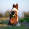 Axaeco Imbracatura per cani 4 Season Broad Peak Giallo Lime Nero