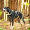 Axaeco Imbracatura per cani 4 Season Broad Peak Giallo Lime Nero