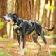 Axaeco Imbracatura per cani 4 Season Broad Peak Giallo Lime Nero