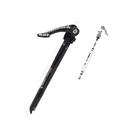 Focus Perno Rat 142X12