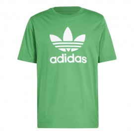 Big logo verde