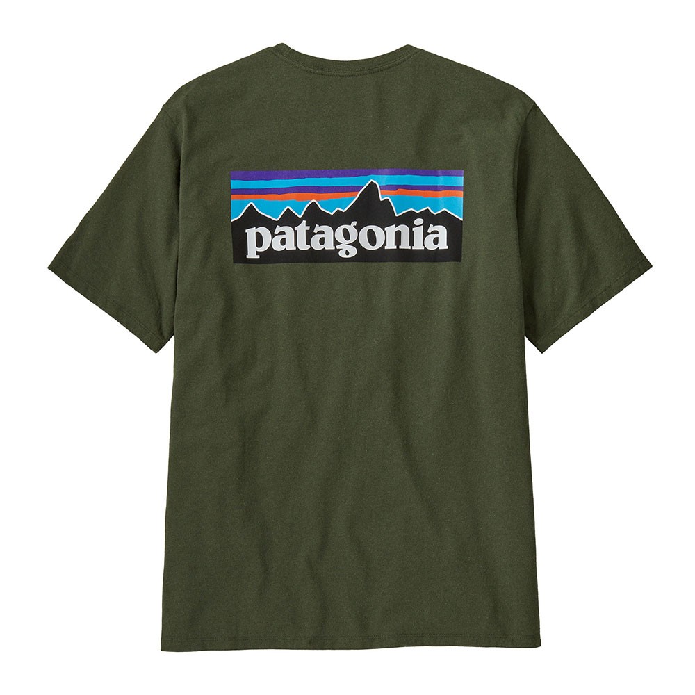 Patagonia Maglia Trekking Trekking P 6 Logo Responsabili Tee Torrey Pine Verde Uomo Acquista online su Sportland