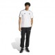 ADIDAS Maglia Maniche Corte Juve Ubp Bianco Nero Uomo