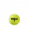 Wilson Tubo Palline Da Tennis Rg Clay Court Giallo