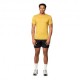 Devold T-Shirt Active Merino 130 Arrowwood Uomo