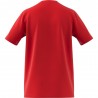 ADIDAS Originals Maglia Maniche Corte Mufc Dna Rosso Bianco Uomo