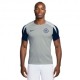 Nike Maglia Maniche Corte Inter Training Grigio Blue Uomo