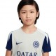 Nike Maglia Maniche Corte Inter Strike Training Grigio Blu Bambino