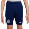 Nike Pantaloncini Calcio Inter Strike Training Blu Grigio Bambino