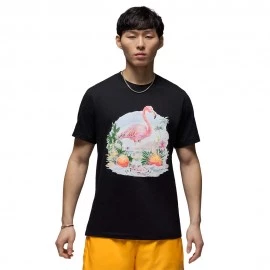 Nike Jordan Flight Essentials T-Shirt Fantasia Nero Uomo
