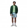 Nike Jordan Essentials Shorts Fantasia Foglie Azzurro Uomo