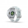 Garmin