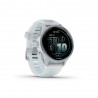 Garmin