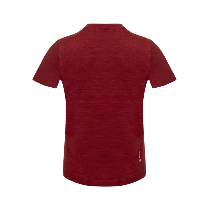Salewa T-Shirt Eagle Dry Syrah Melange Bambino