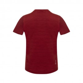 Salewa T-Shirt Eagle Dry Syrah Melange Bambino