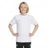 ADIDAS Maglia Maniche Corte Juve Training Bianco Giallo Bambino