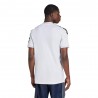 ADIDAS Maglia Maniche Corte Real Madrid Home 25 26 Bianco Argento Uomo