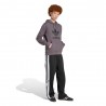 ADIDAS Originals Trefoil Felpa Con Cappuccio Grigio Uomo