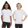 ADIDAS Maglia Maniche Corte Juve Tr Bianco Giallo Bambino