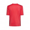 La Sportiva T-Shirt Trail Running Trail Bite Mountain Rosso Redwood Uomo