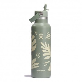Hydro Flask Thermos Trekking Standard Flex Straw Cap Botanical Bliss Agave
