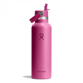 Hydro Flask Thermos Trekking Standard Flex Straw Cap Reef
