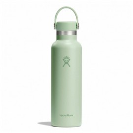 Hydro Flask Thermos Trekking Standard Flex Cap Aloe